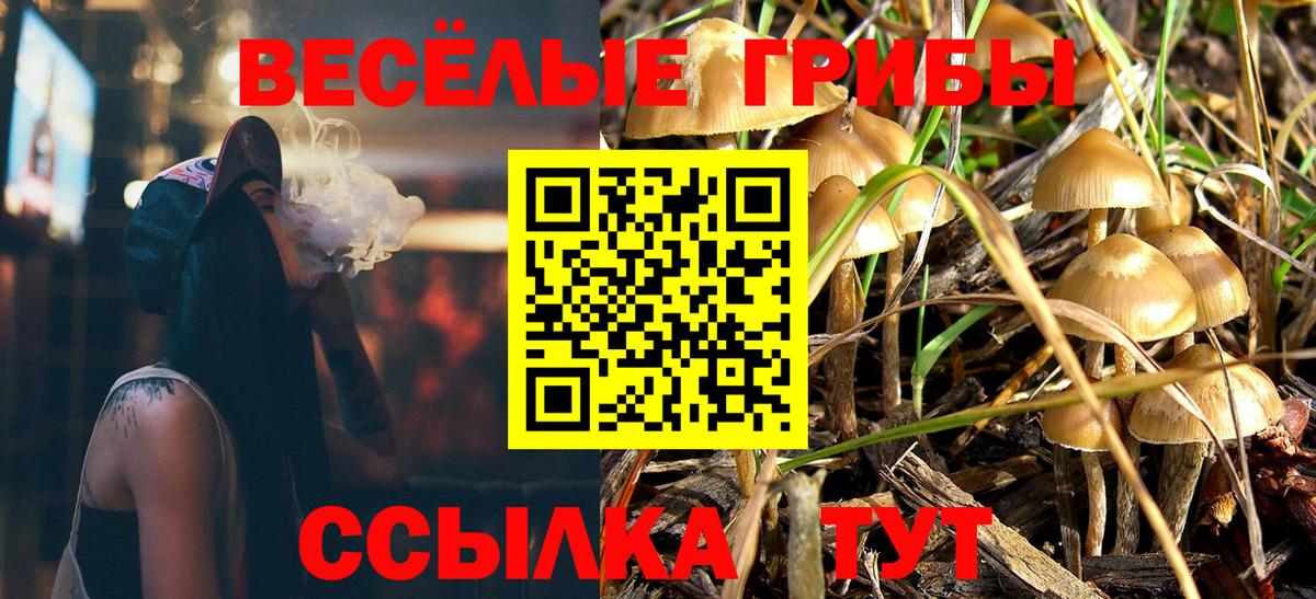 Каменка  Псилоцибиновые грибы ЛСД  Вход с VPN 