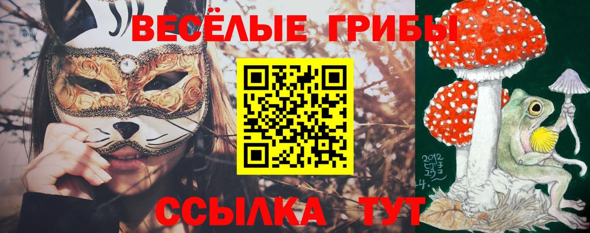 Псилоцибиновые грибы MAGIC MUSHROOMS Каменка